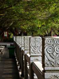 珠海金台寺：塵世外的清淨佛國#