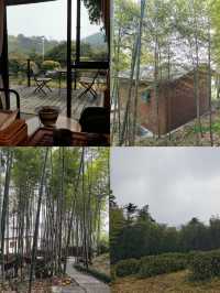安吉三天兩夜，如何解鎖不一樣的旅行體驗？