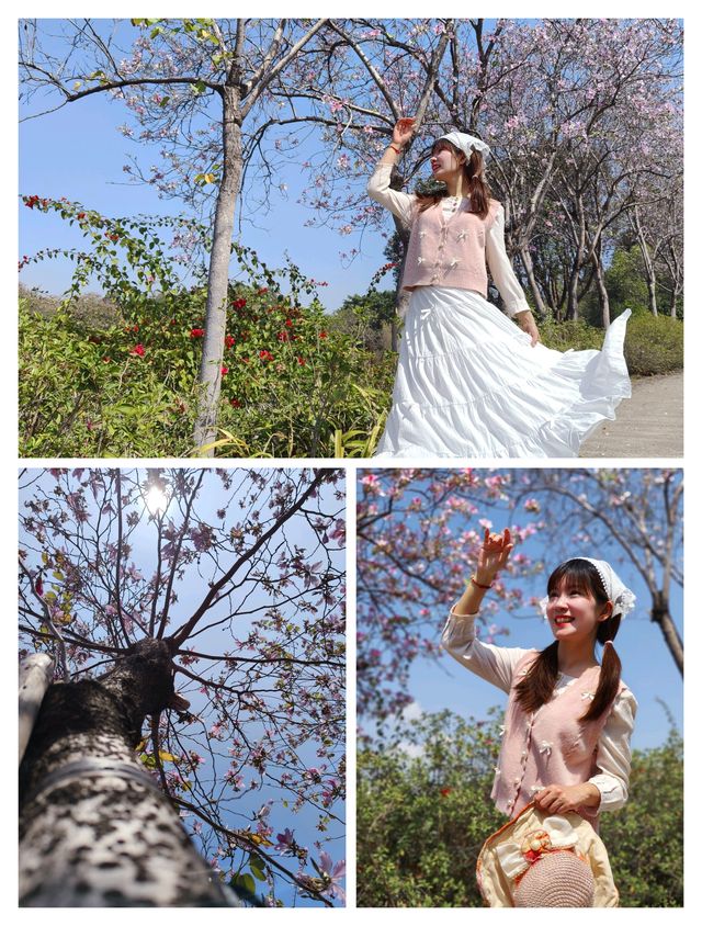 避開人潮賞花海！番禺小眾秘境全攻略