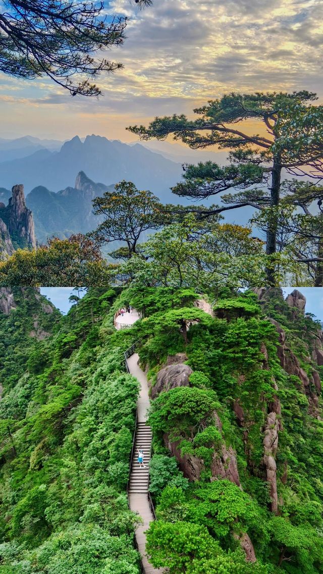 雲端仙境×奇峰秘境99%的人不知道的天然氧吧！