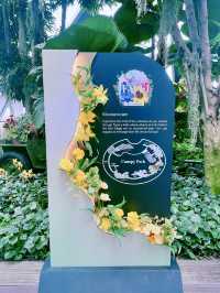 星空漫步，花園之夢：新加坡星空花園