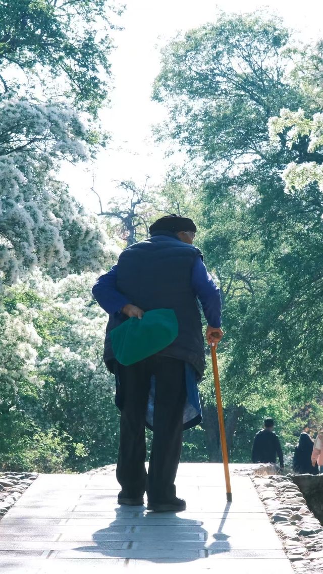 劍川特色