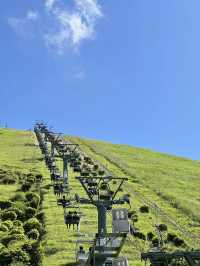 夏日限定 抹茶味兒大室山