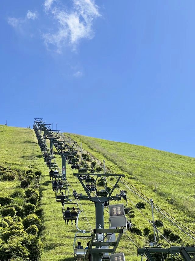 夏日限定 抹茶味兒大室山