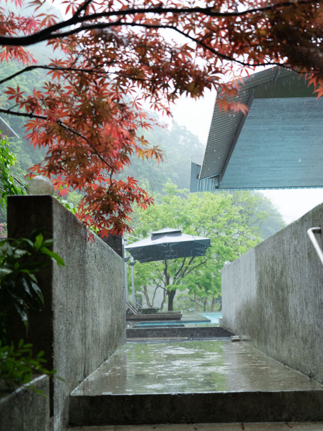 臨安潛川 | 雨天好適合躺在山裡