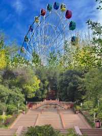 後悔冇早啲去！紅山公園真係太正啦