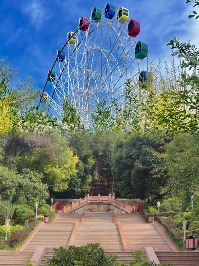 後悔冇早啲去！紅山公園真係太正啦
