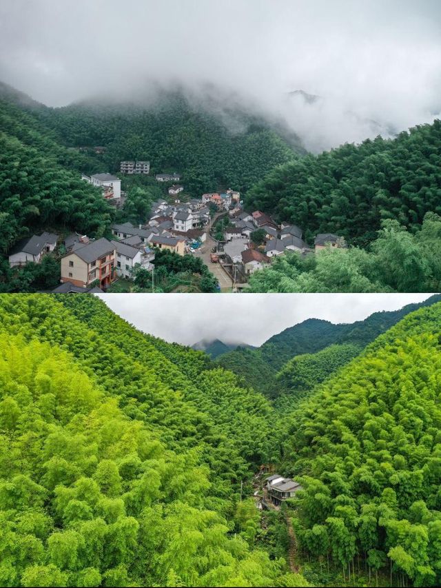 抱山書院，你的心靈歸宿！