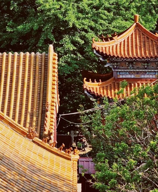 唐山遵化禪林寺古銀杏風景園參觀攻略