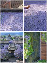 古風×藍紫｜富民上河院暴擊指南