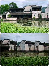 🪷荷塘月色，八卦迷宮！呈坎2日清涼行