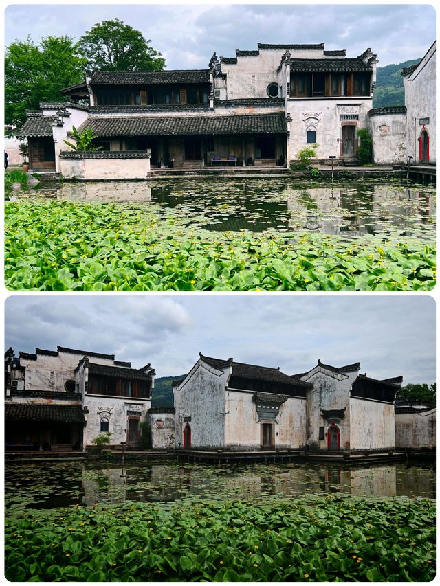 🪷荷塘月色，八卦迷宮！呈坎2日清涼行