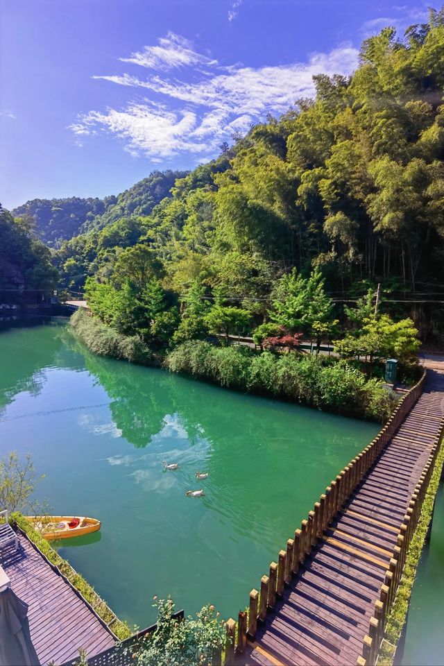 【新昌秘境漫遊指南｜把初夏嘅清涼揉進山水皺褶裡】