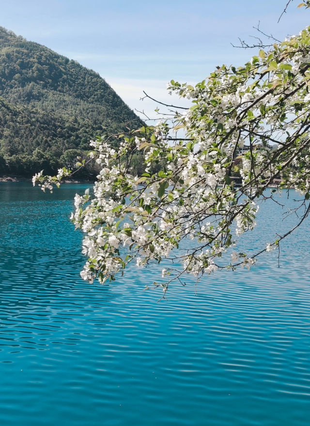 一泓山海：文縣天池畔的星辰往事
