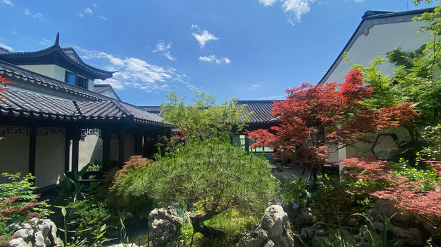 上虞運河畔嘅街區，活力煥新，休閒好去處！