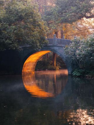 I flew to Hangzhou just for these 8 photo sets—was it worth it?