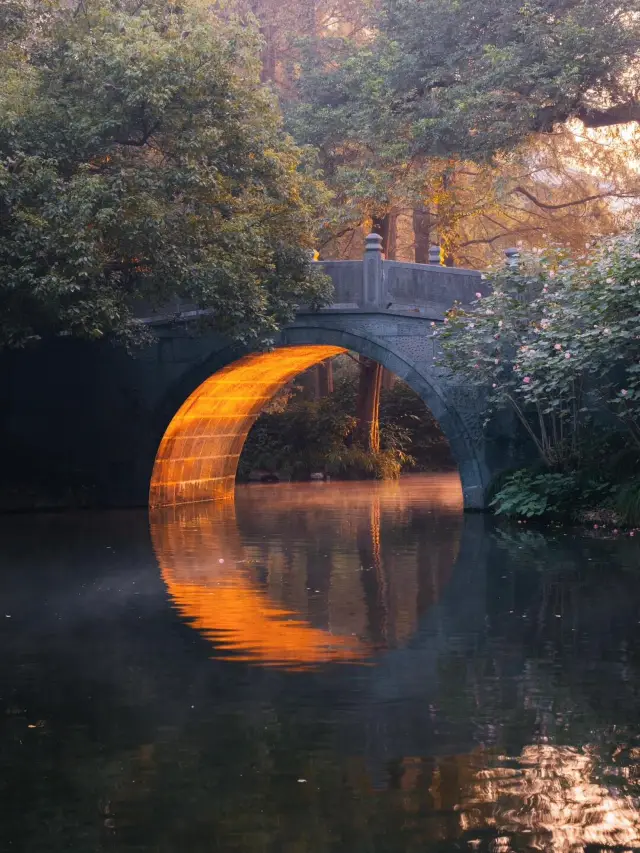 I flew to Hangzhou just for these 8 photo sets—was it worth it?