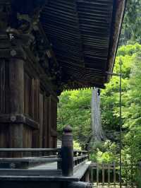 🌿【京都·常寂光寺】— 隱世古寺中的禪意漫遊 🌿