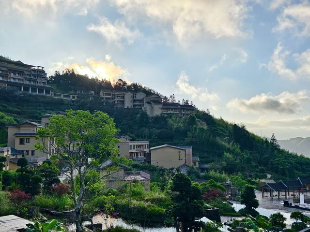 信宜馬安竹海沉浸式旅記