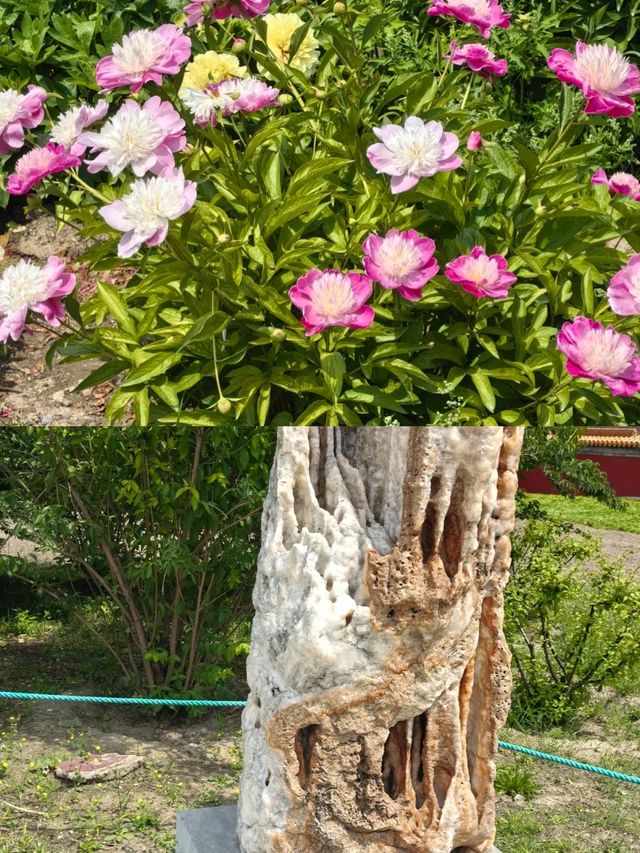 北京玩咗四日，我嘅消費觀崩塌咗