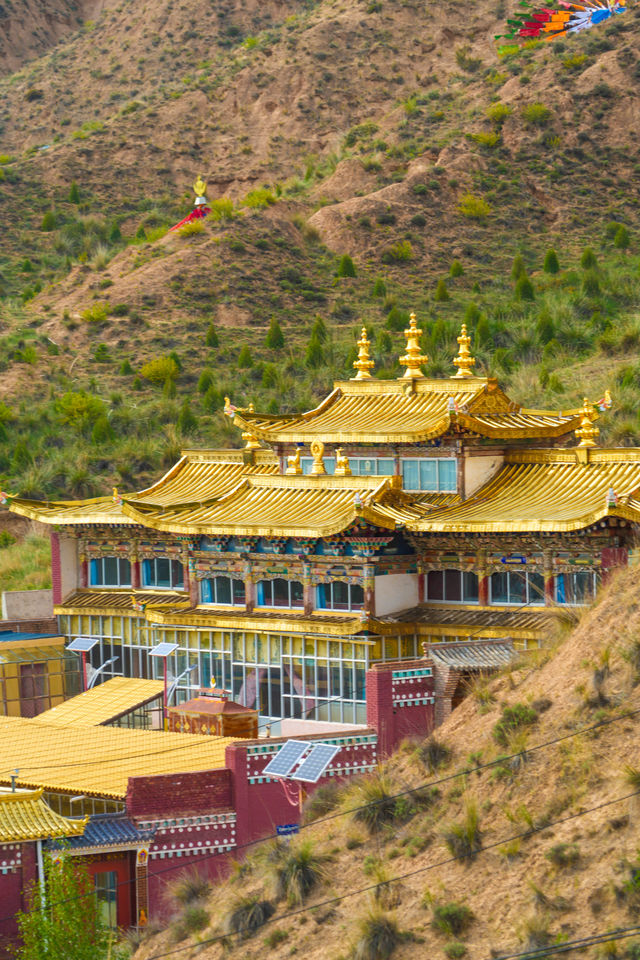 青海之旅｜邂逅龍羊峽當家寺，聆聽心靈梵音