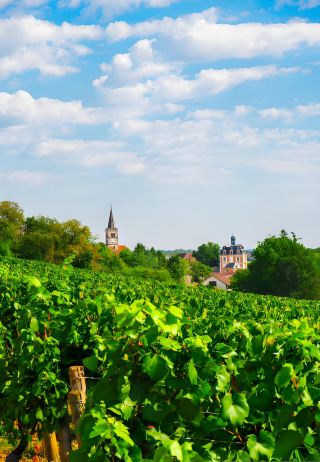 Burgundy's Most Beautiful Wine Country Tour 