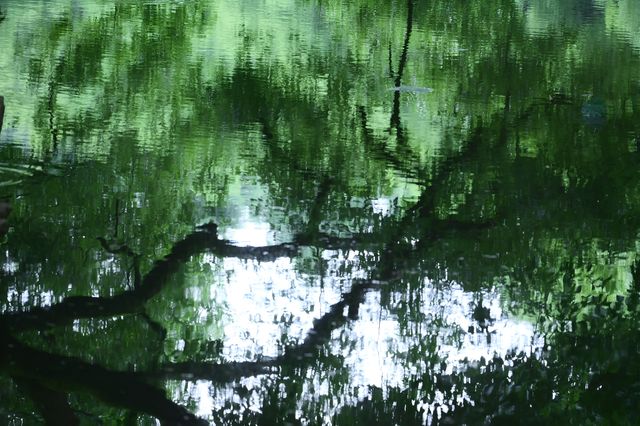 西湖隱秘地圖｜避開人潮，解鎖7個小眾仙境の一日漫步攻略