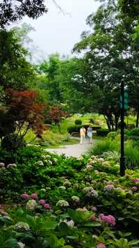 青島中山公園花溪谷