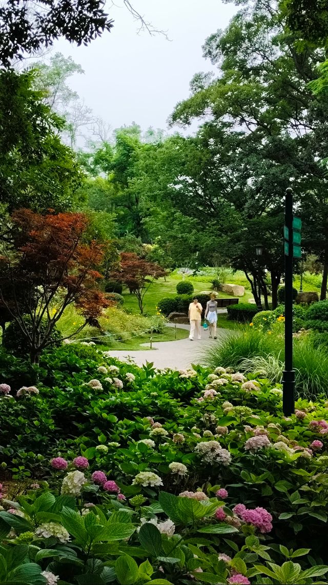青島中山公園花溪谷