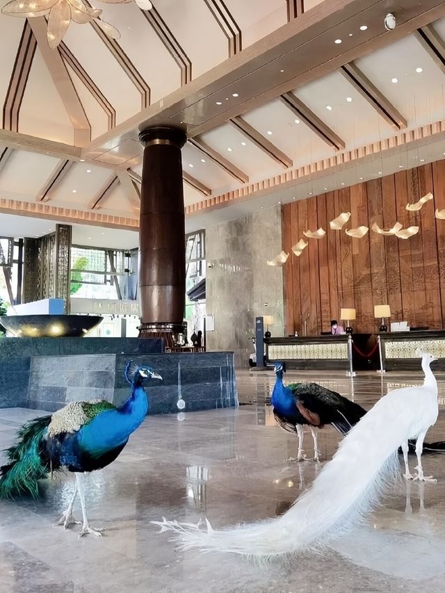 西雙版納鉑爾曼酒店超靚旅遊攻略嚟啦！
