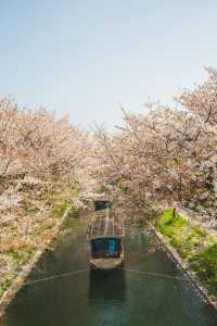 京都：在古建築與千年時光擦肩而過