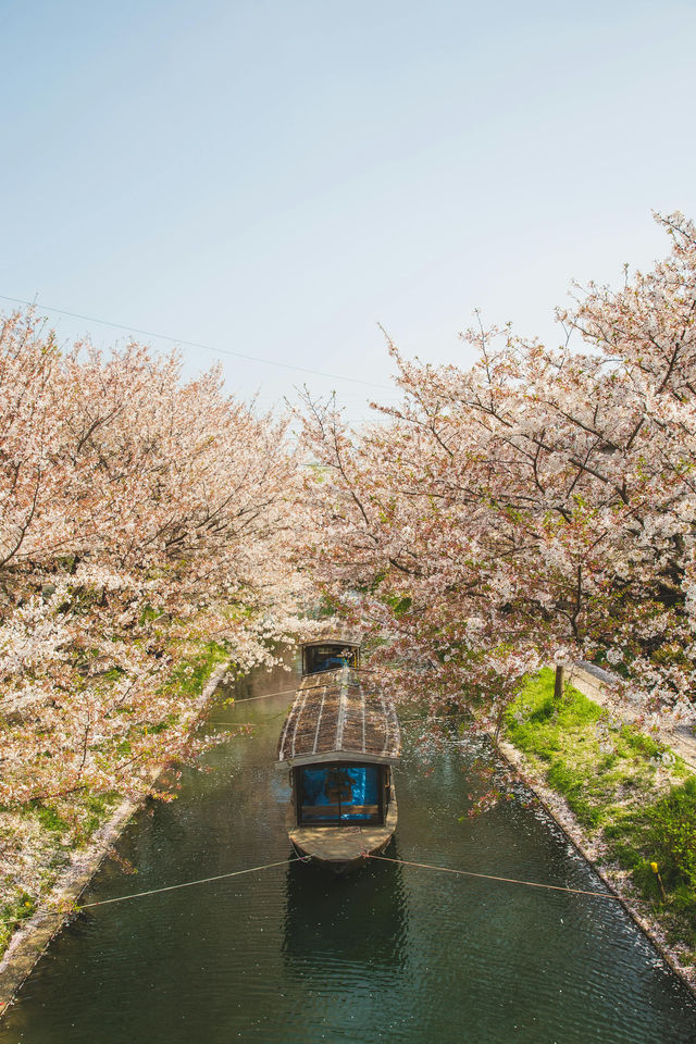 京都：在古建築與千年時光擦肩而過
