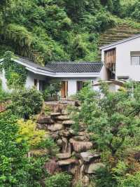 杭州徑山寺無它心舍民宿 | 在禪意山居裡，尋一份雲淡風輕
