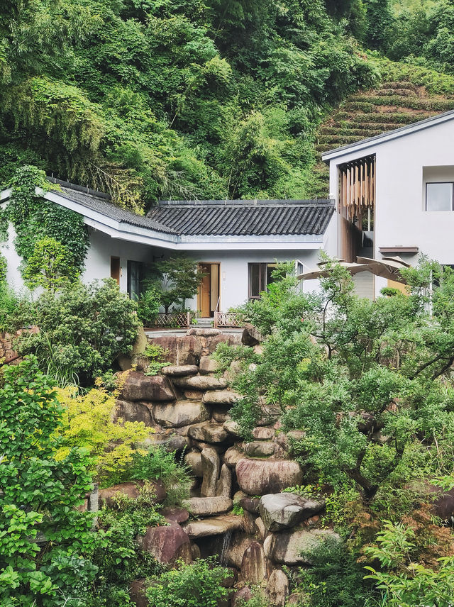 杭州徑山寺無它心舍民宿 | 在禪意山居裡，尋一份雲淡風輕