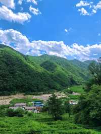 向山野，同昆蟲、樹葉同蘑菇見面
