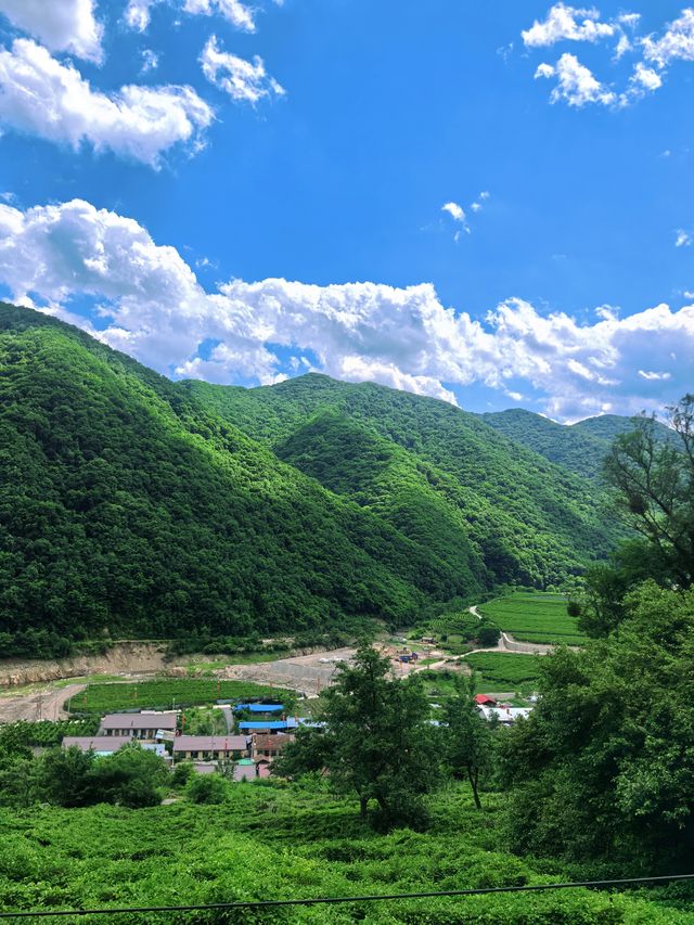 向山野，同昆蟲、樹葉同蘑菇見面