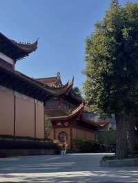 寧波小眾寺廟，拍照超靚超出片
