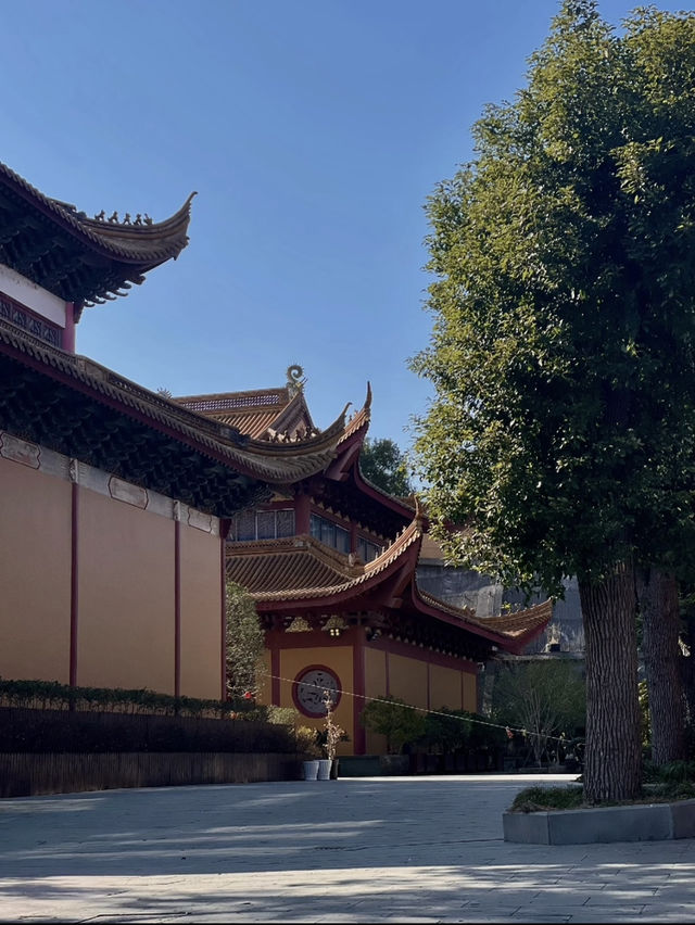 寧波小眾寺廟，拍照超靚超出片