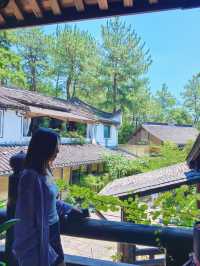 浦江龍德古寺｜隱於山林的治癒秘境，週末減壓天花板！