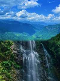 《逃離40℃！躲進21℃神農架原始森林，太爽了！》