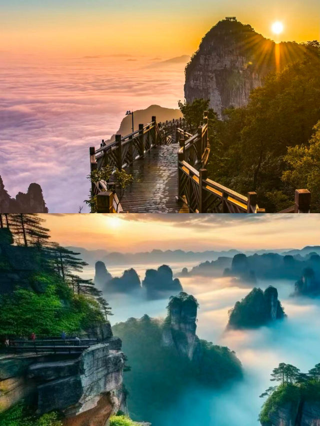 天門山雲海奇觀！張家界必打卡嘅仙境之旅