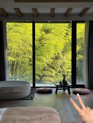 Stay in a 270° bamboo forest private hot spring villa in Moganshan! So healing