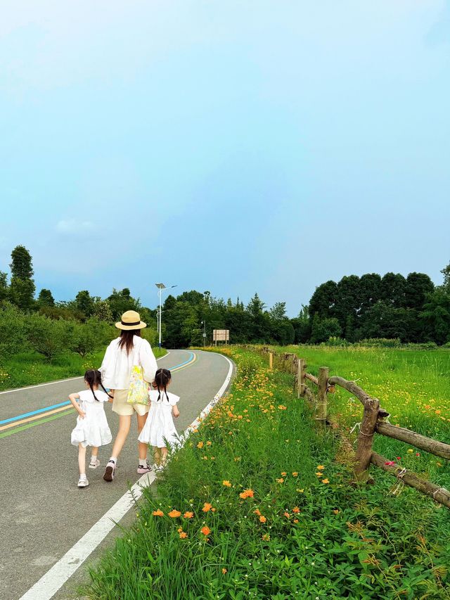 溫江拍花遇暴雨卻拍出不一樣嘅味道！