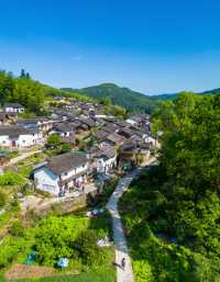 松陽楊家堂｜0蚊影金色布達拉宮