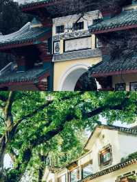 漫步柳侯尋古韻