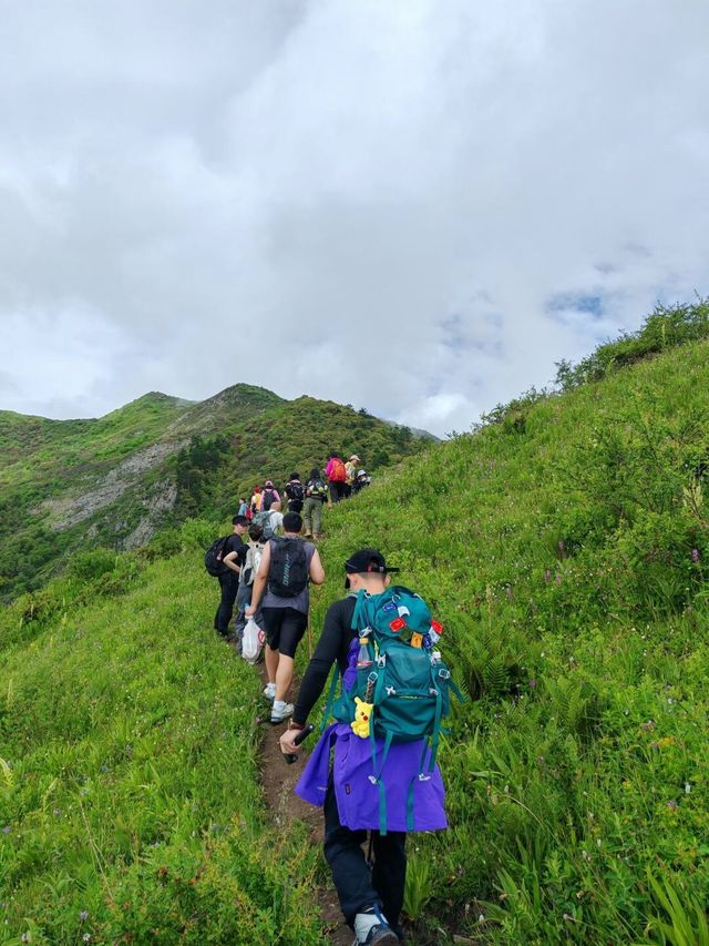 巴郎山：雲端的羌藏走廊