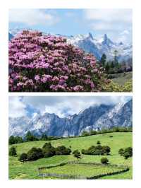 暢遊香格里拉老藥山