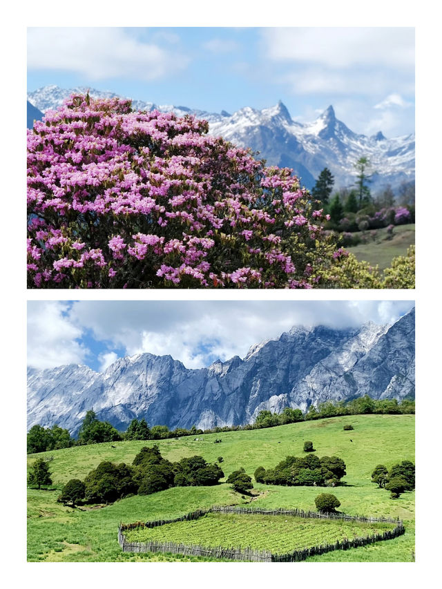 暢遊香格里拉老藥山