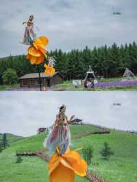 壩上七彩森林我的愛 | 超全面遊玩攻略來啦