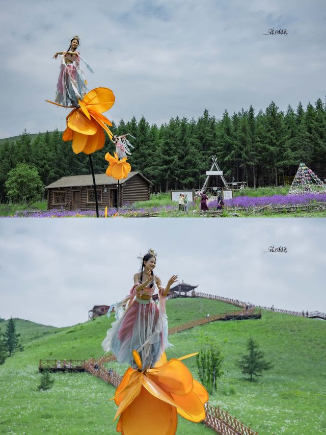 壩上七彩森林我的愛 | 超全面遊玩攻略來啦 壩上七彩森林我的愛 | 超全面遊玩攻略來啦